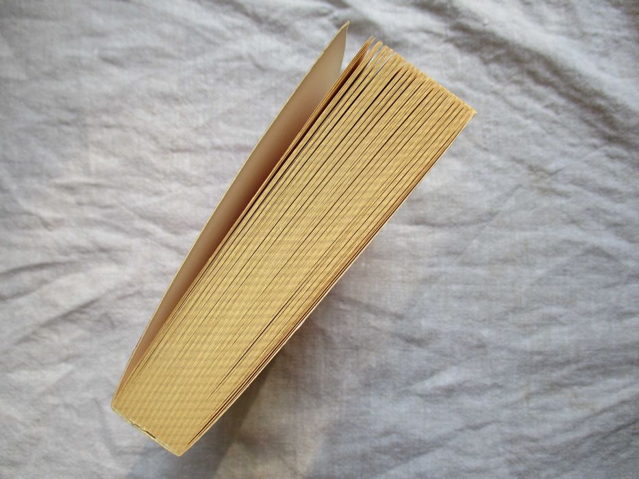 The Art of Happiness in a Troubled World