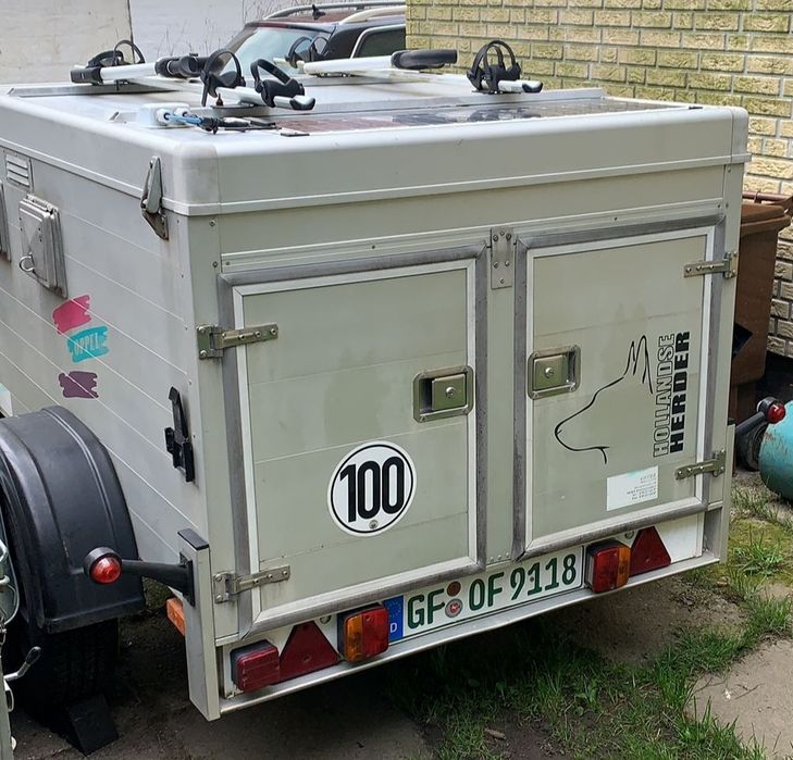 Remorca transport caini