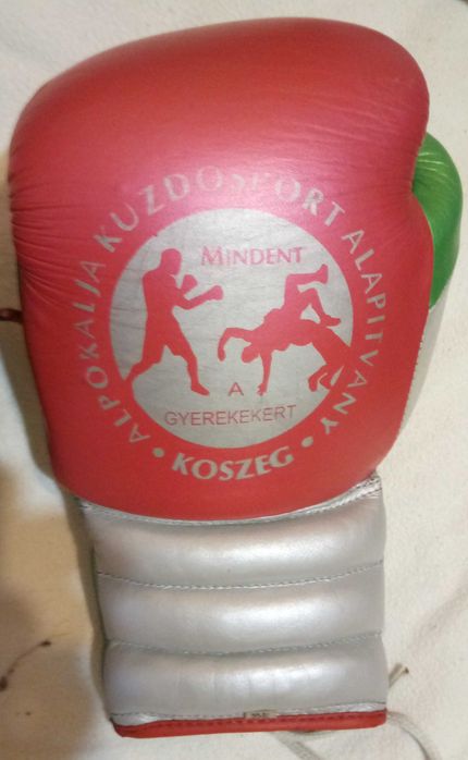 Echipament box - casca protectie si manusi