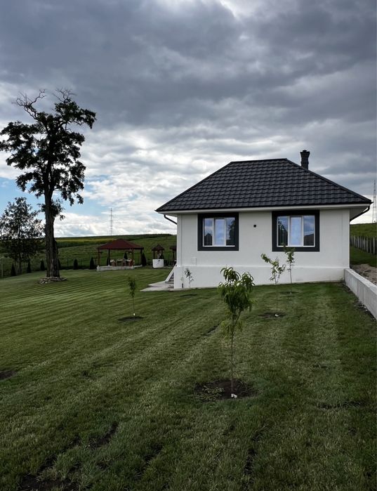 Casa de vanzare Triteni