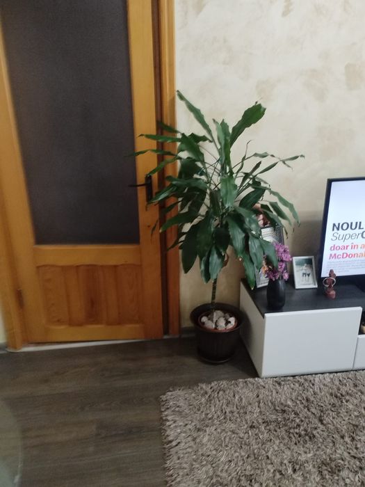 Vând apartament 2 camere