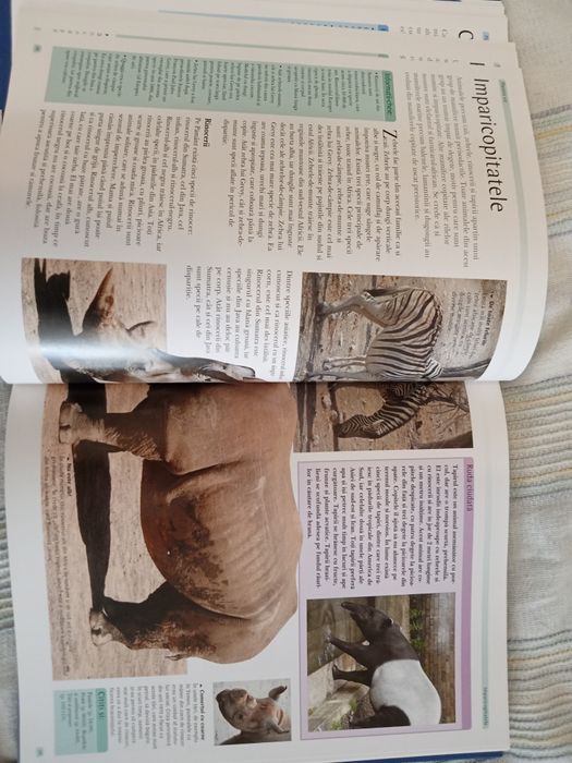 Enciclopedia lumii pentru copii