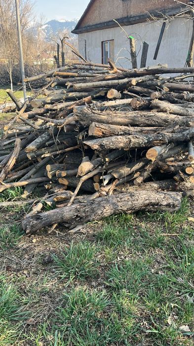 Продам дрова яблони