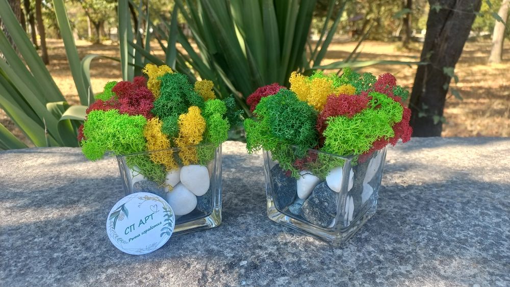 Керамична кашпа или дървено пънче с коронка от скандинавски мъх