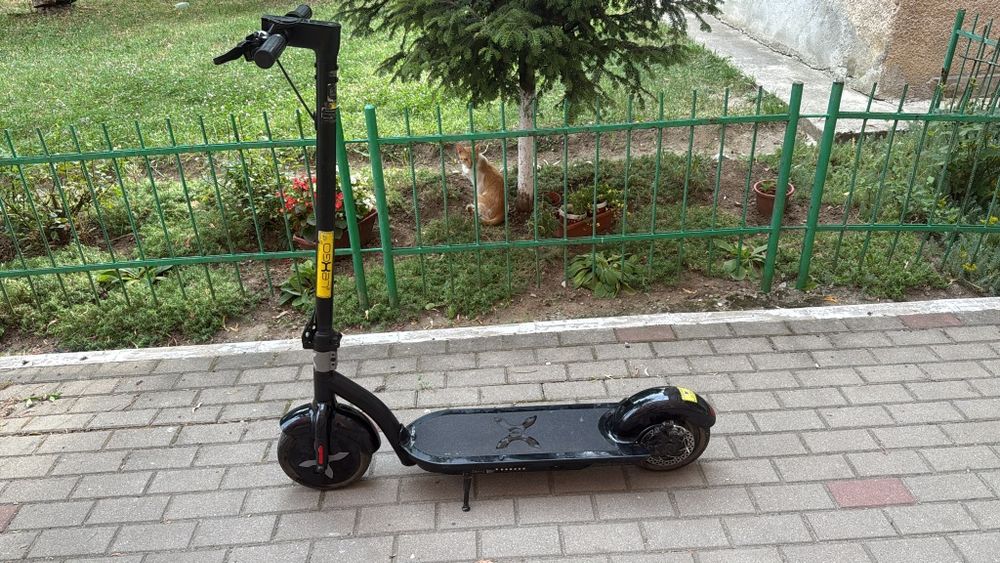 Trotineta electrica Freewheel LexGo A10, 10 inch,  25Km/h , Roti 10"