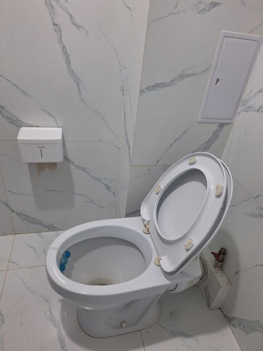 Унитаз без бачков