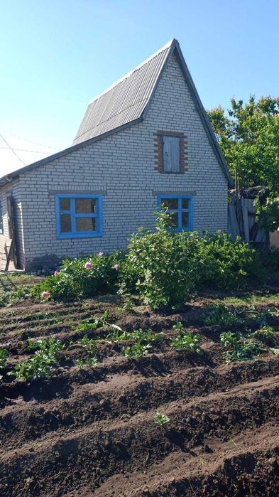 Продаю дачу (сообщество "Геолог")