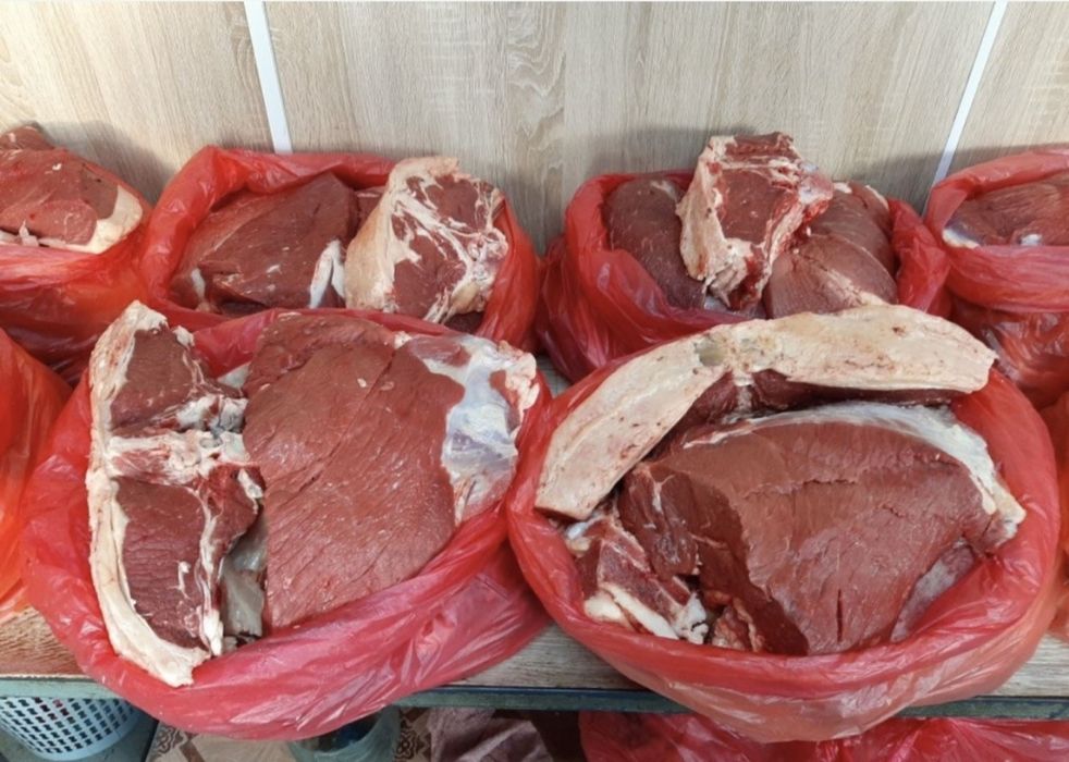 Мясо говядина конина