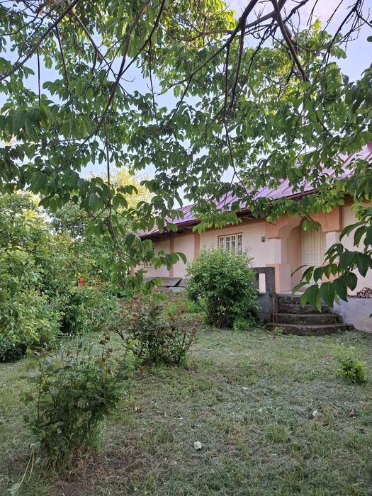 gospodarie completa+ teren 7200mp, centru loc. Galbeni Filipesti Bacau