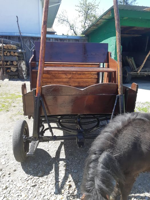De vanzare ponei  si trasura