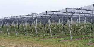 Plasa Protectie Antigrindina  34 gr/m2