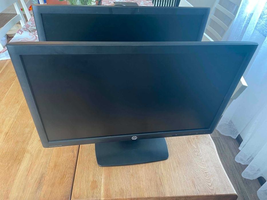 Monitor HP ProDisplay P221