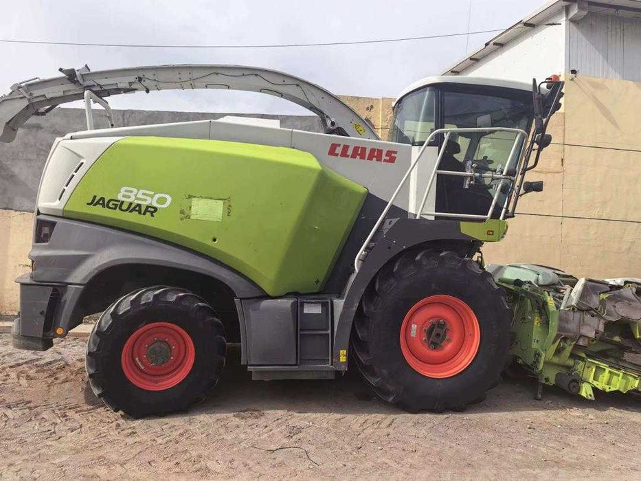 Ягуварлар заказга олиб келиб берилади