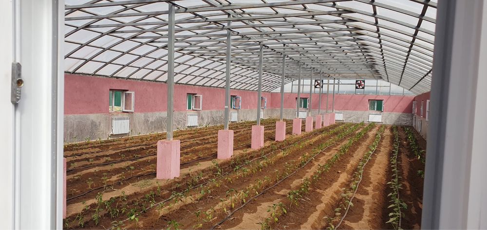 Leksan Polylite Uzbekistan 30kg