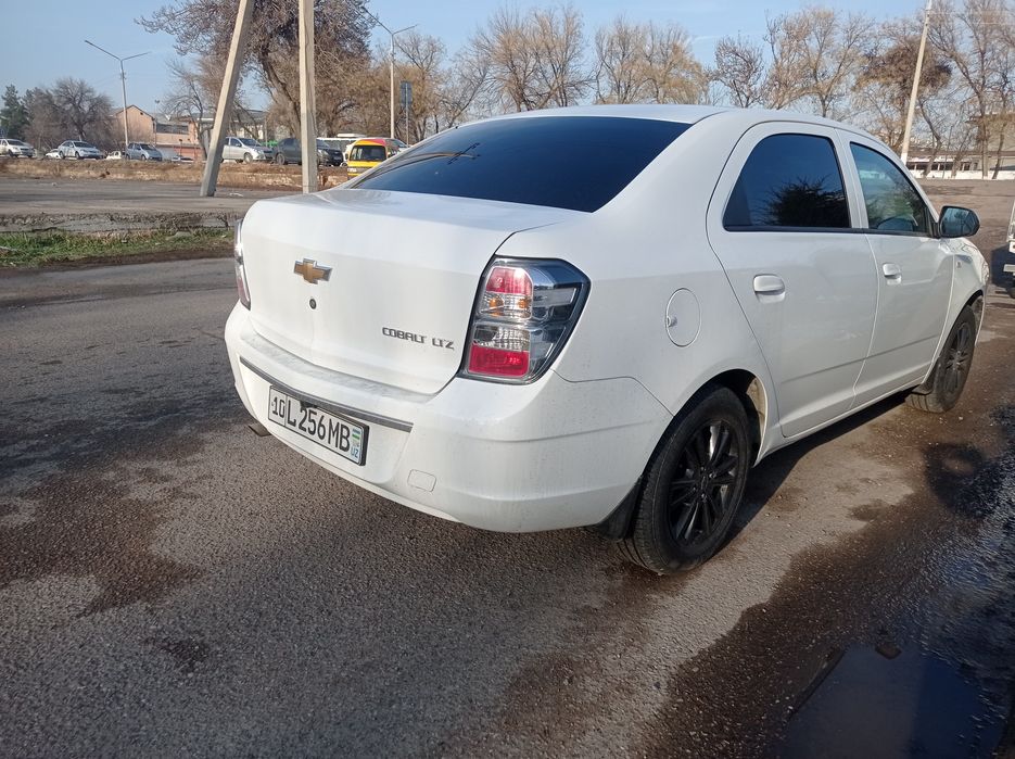 cobalt midnayt ful navarot