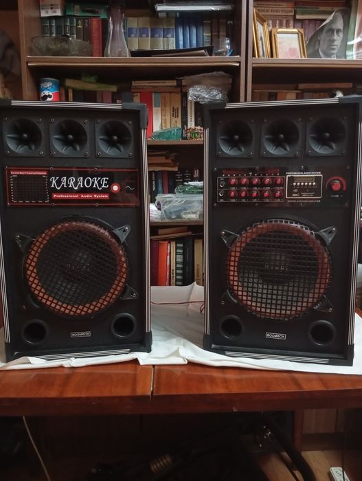 Активная акустическая система Boombox Karaoke 80W (BX-5010U, Bluetooth
