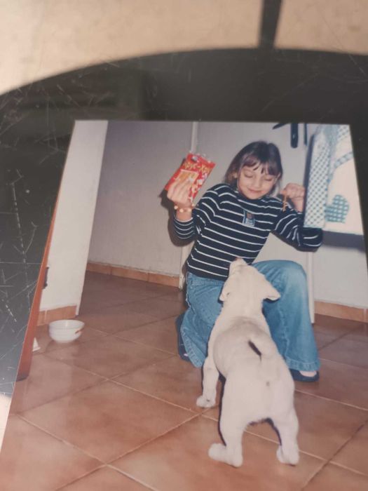 "Хотел" за кучета/гледач/