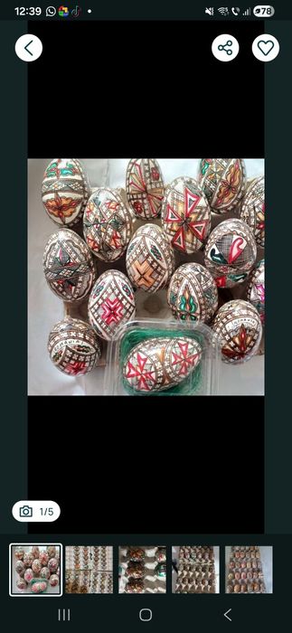 Lot 20 de oua incondeiate de rata