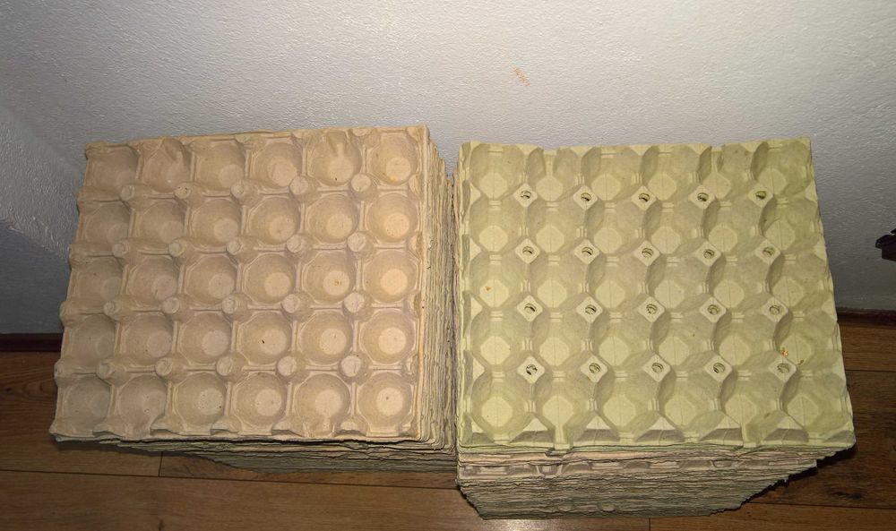 50 cofraje carton/30 oua