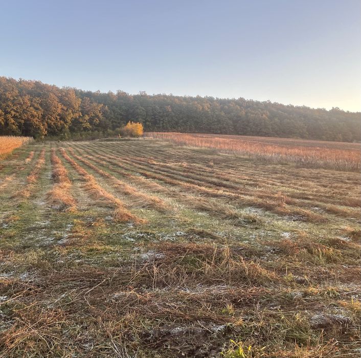 De vanzare 2 parcele de teren in Mirsid Fundatura