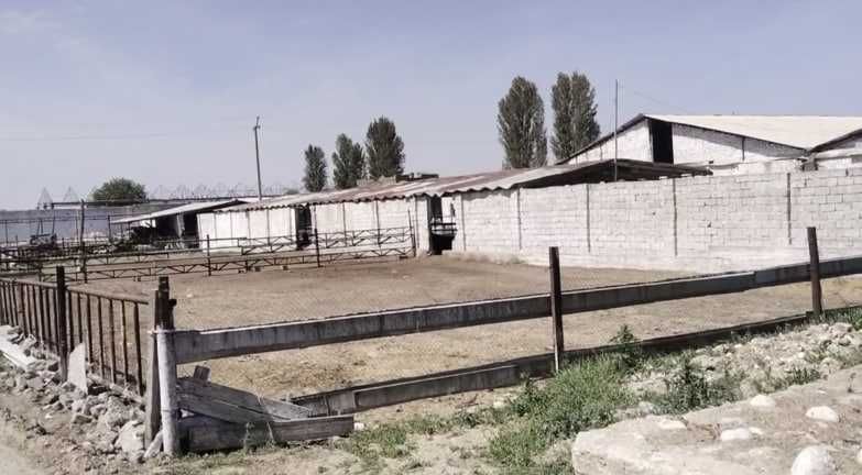 Продаются две фермы в Юкори чирчикском р-не (Ободон) 2,2га+1,02га