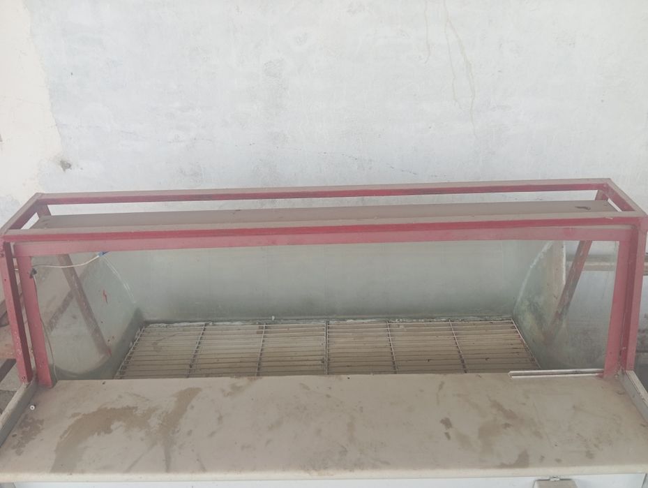 Veterena sotiladi hammajoyi sogʻlom hamma narsasi ishlaydi