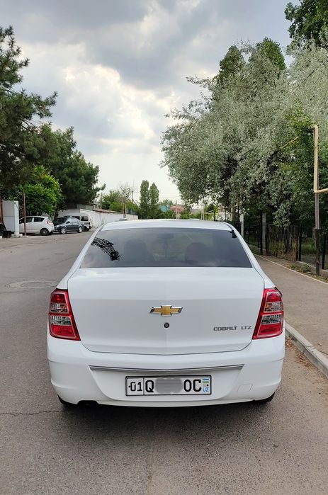 Cobalt Style Кобалт