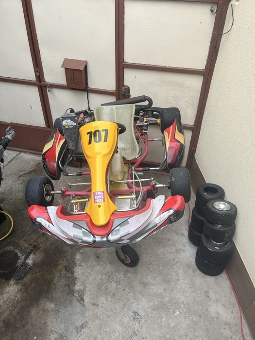 Vand kart sq racing cu motor rotax senior