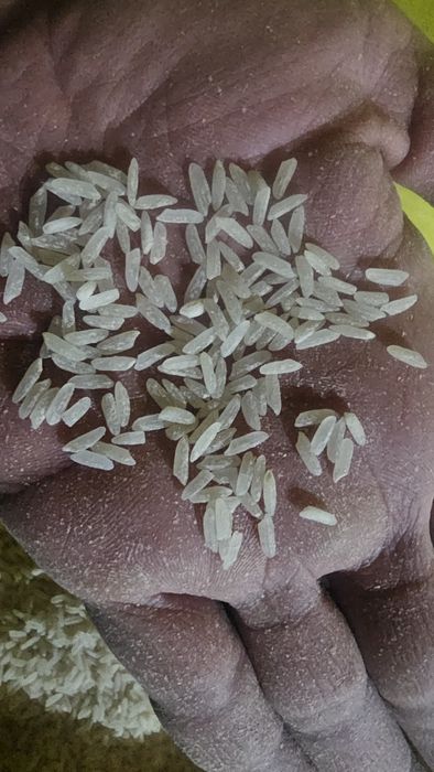 Tuyma lazer guruch sotiladi. 10 000 som narxi.