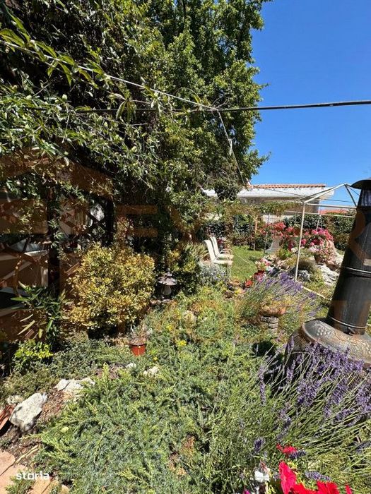 Casa de vanzare in Palazu Mare | 4 camere | Teren 655 mp