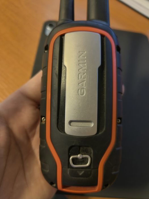 Garmina Alpha 100 dog