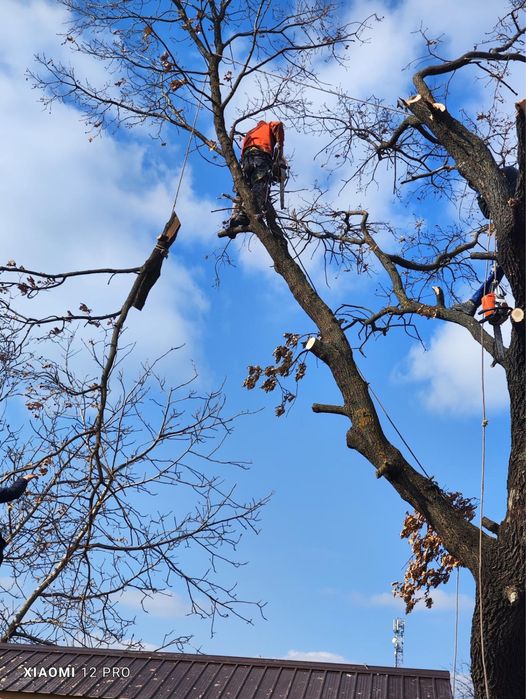 Alpinisti utilitari / tencuieli devirative, placari , lucrari inaltime