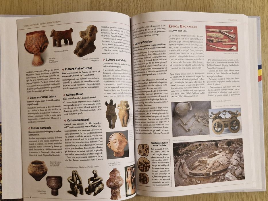 Istoria ilustrata a românilor - Editura Litera