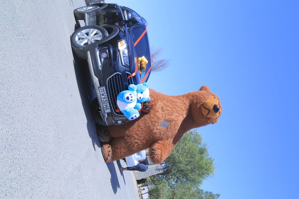 Ayiqlar xizmati barcha viloyat boylab