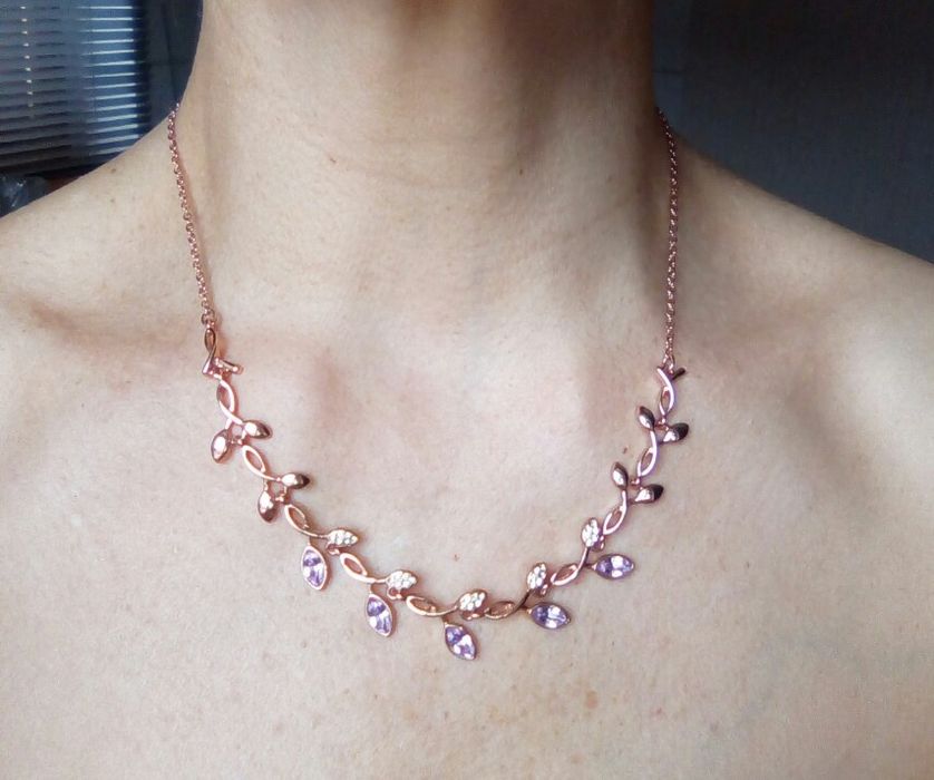 Цветы домашние.г.Астана