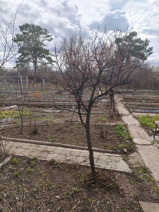 Продам дачу Жилгородок на Кривом озере