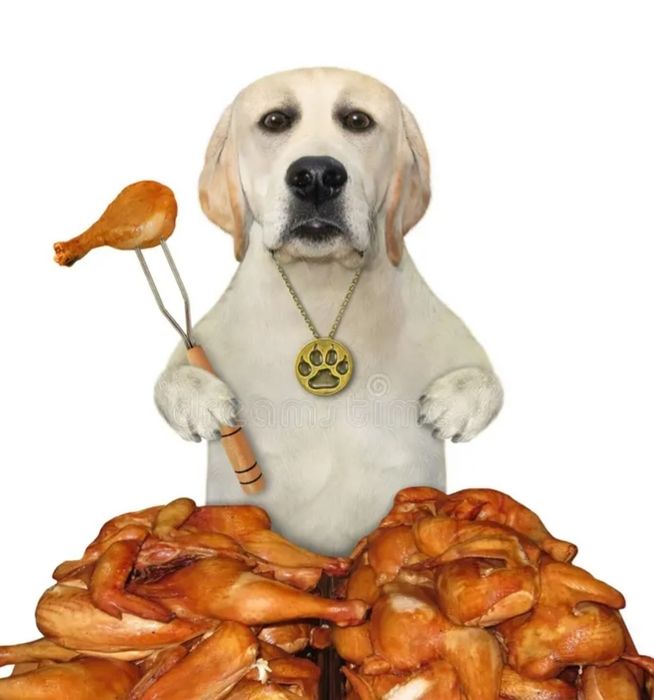 Фарш куриный для кошек, собак и.т.д.