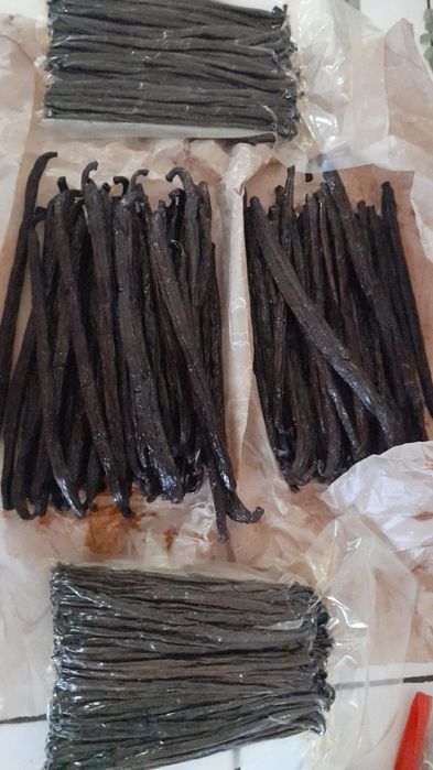 Vanilie păstăi categ A+ madagascar