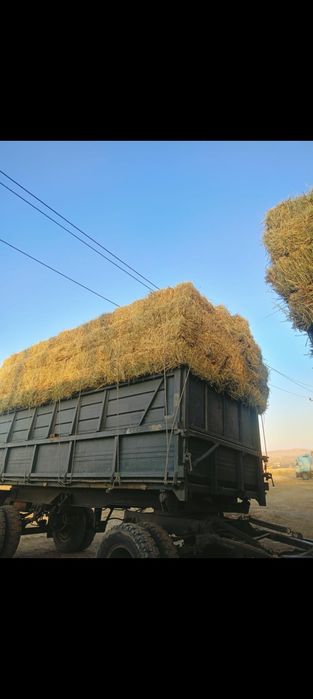 Жай шөп сатылады