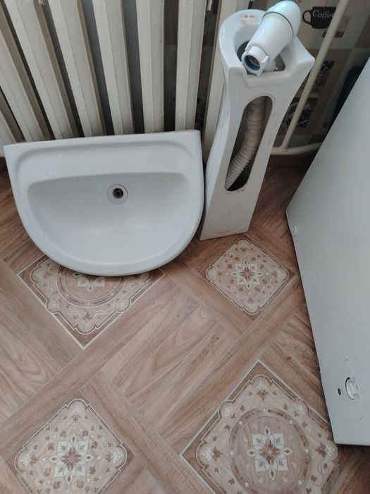 Раковина тюльпан