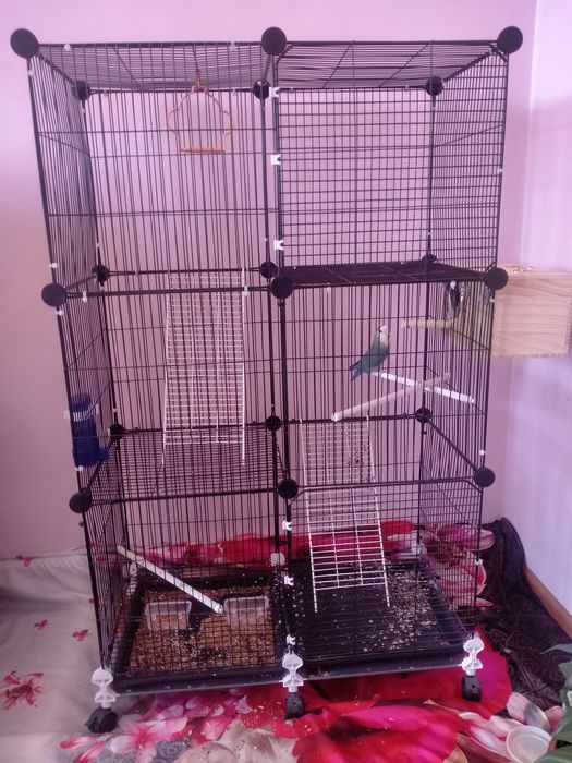 Папугай клеткасымен сатылады  70х120