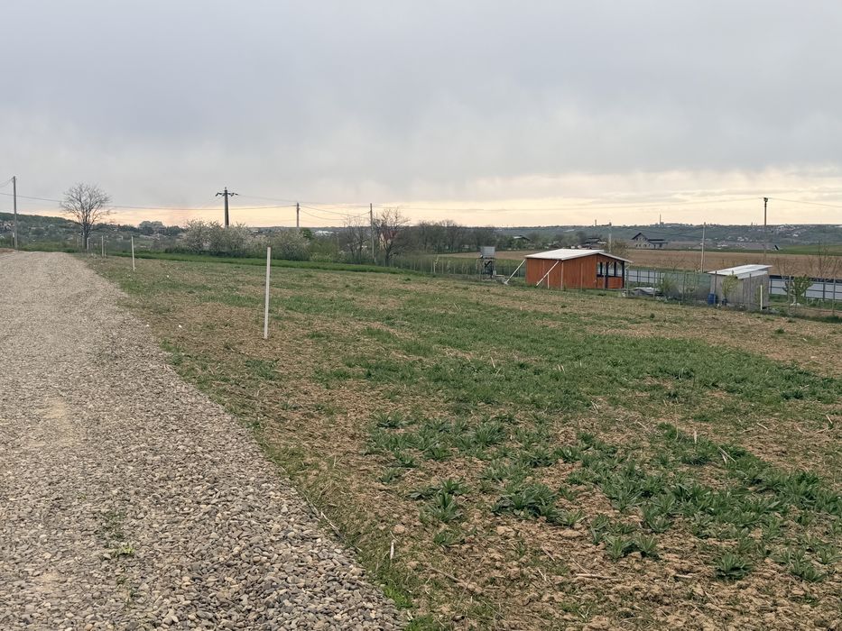 Loturi de teren 800-900 mp Gaz-apa-curent M Doamnei