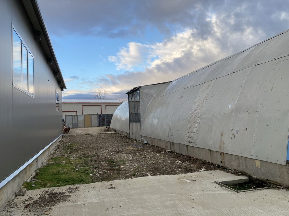 Хале под наем 300кв