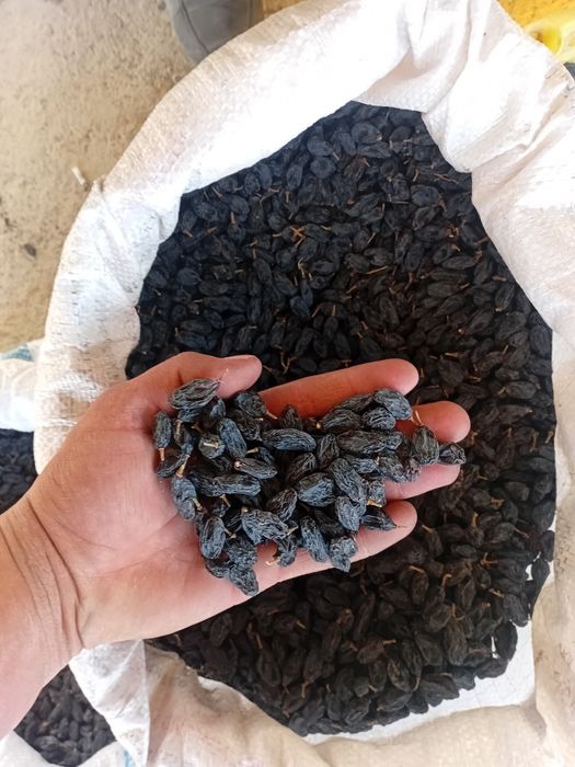 Изюм оптом! Мытый, отсортированный.Экспортно качество!