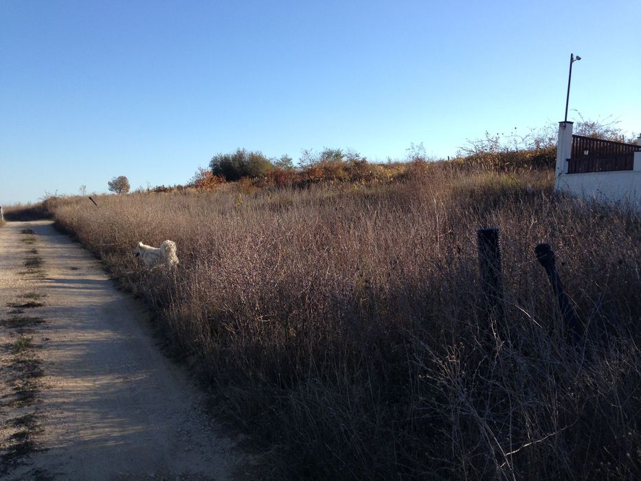 Продава се Парцел в Бяла - 1000 кв.м за 48 €/кв.м - Снимка #1