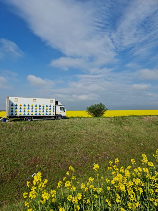 Vand Camion Apicol
