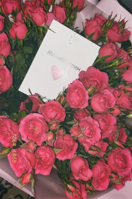 Бууу бүгін берілген гүл келісугк болат