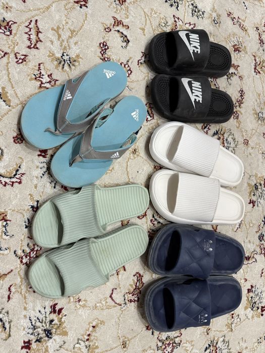 Продам сланцы по 500