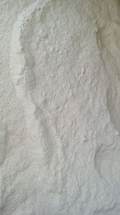 Vând mazare, floare soarelui, porumb, grâu