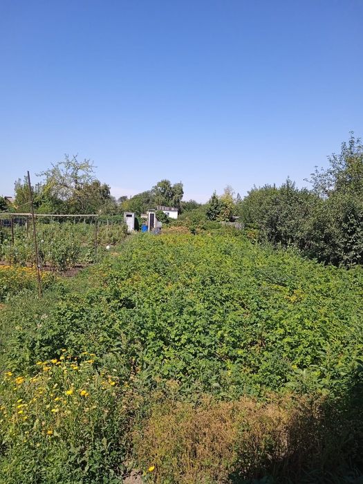 Продам дачу на Черемушках